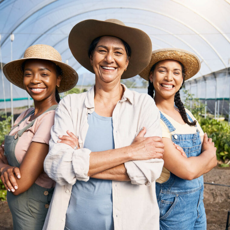 Trois femmes exploitantes agricoles